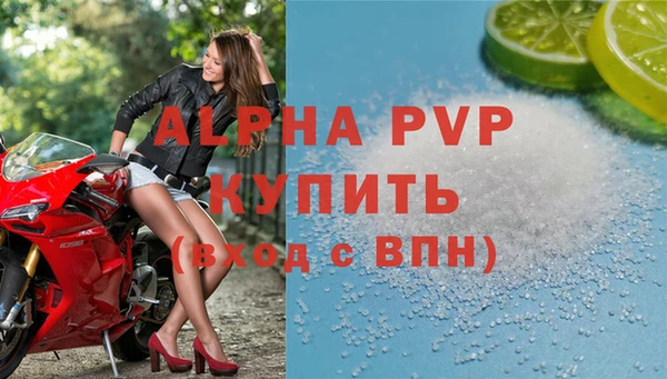эйфоретик Аркадак