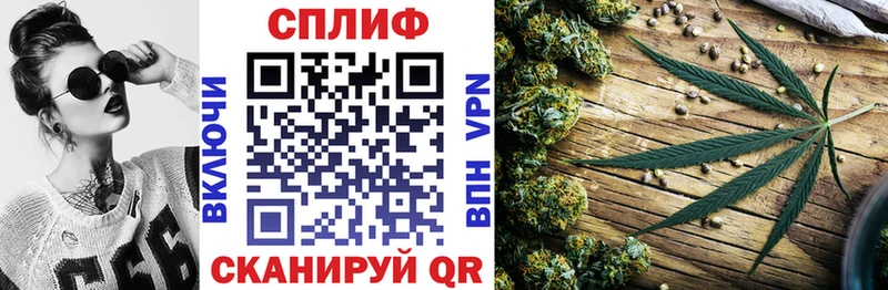 Бошки Шишки семена Соль-Илецк